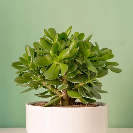 Nico's In Centro Apartamento *